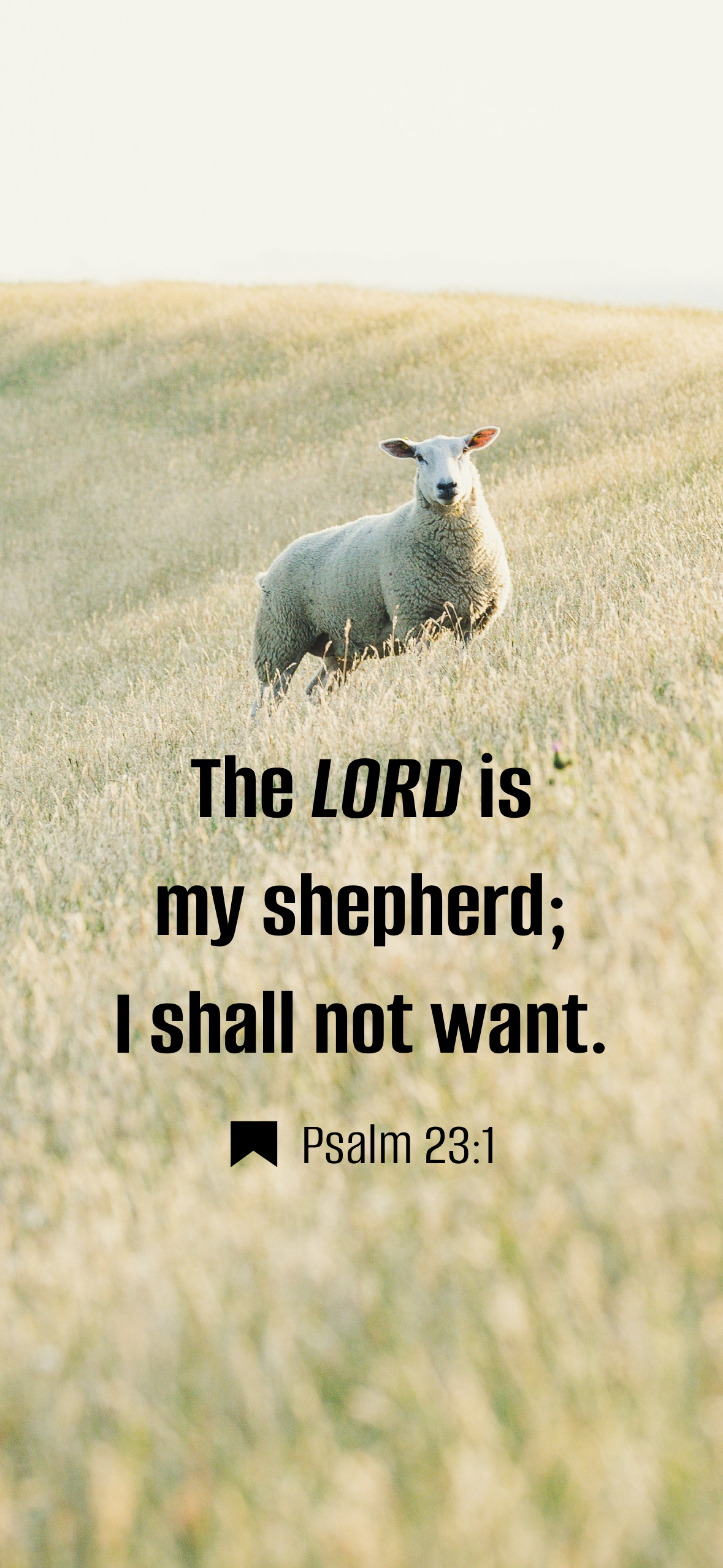 Psalm 23:1