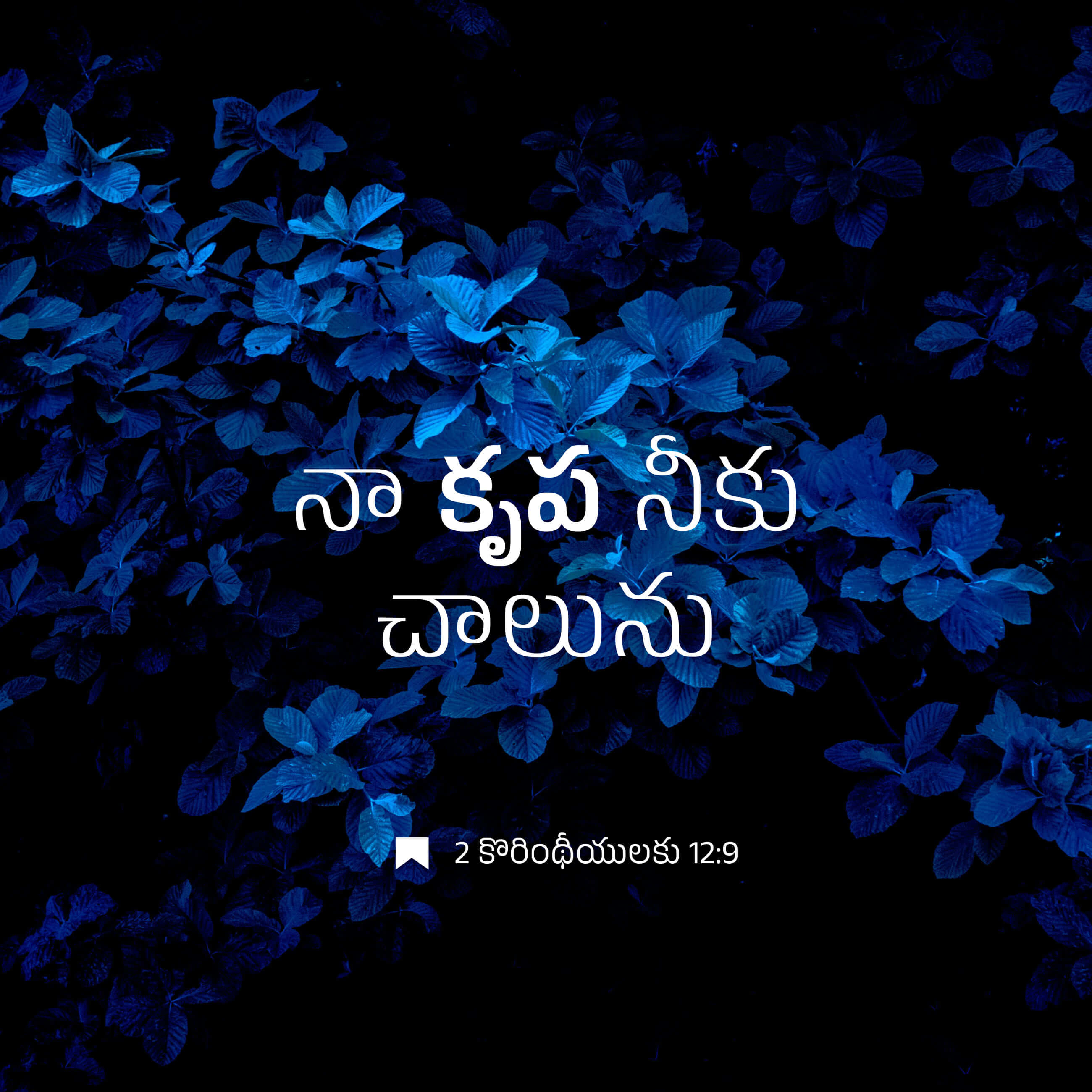 2 కొరింథీయులకు 12:9