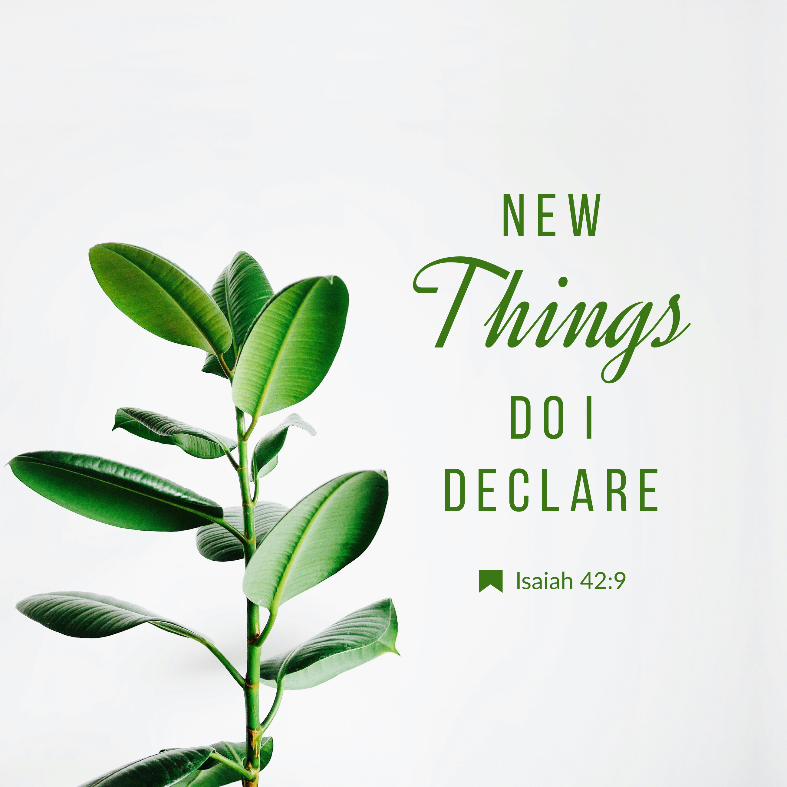 Isaiah 42:9