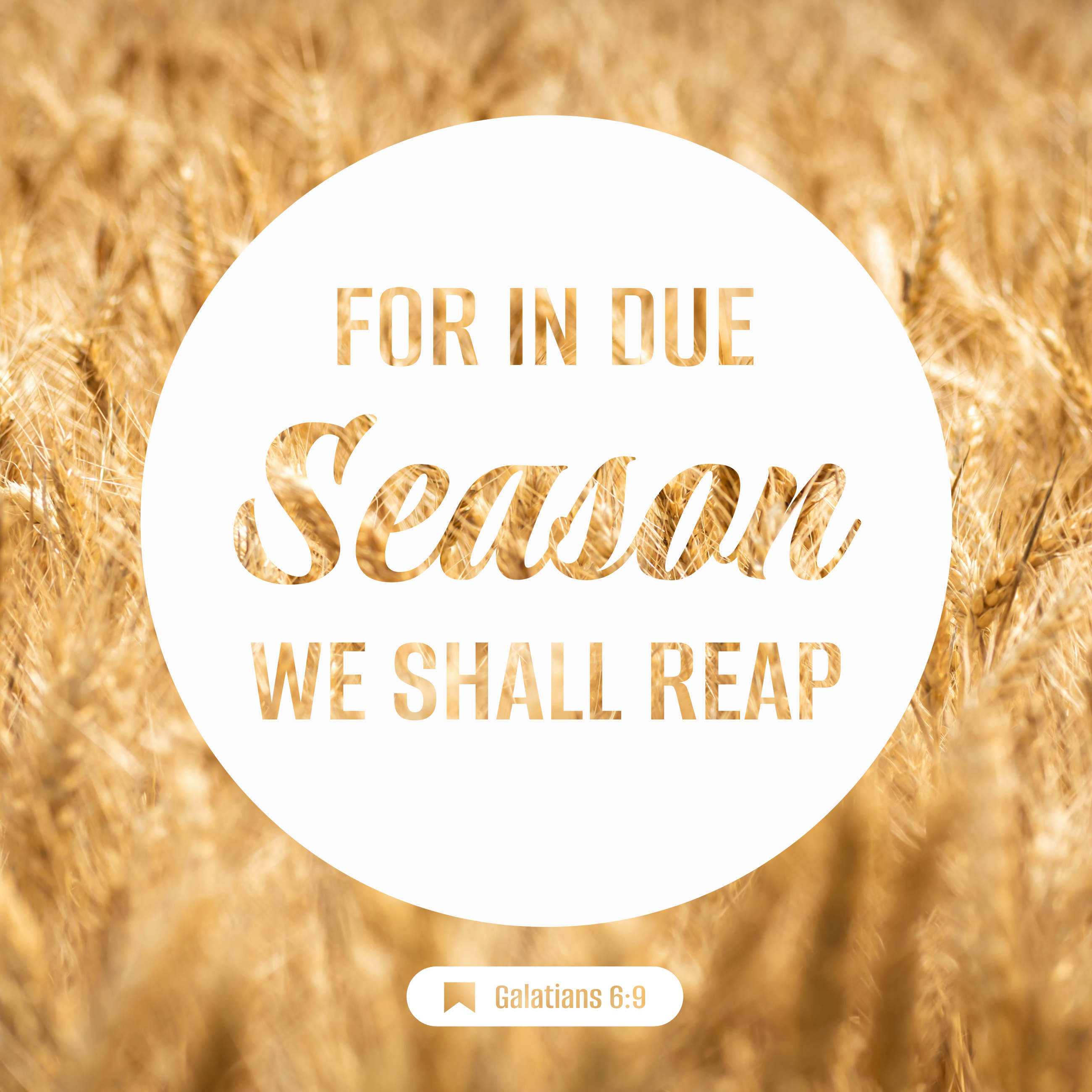Galatians 6:9