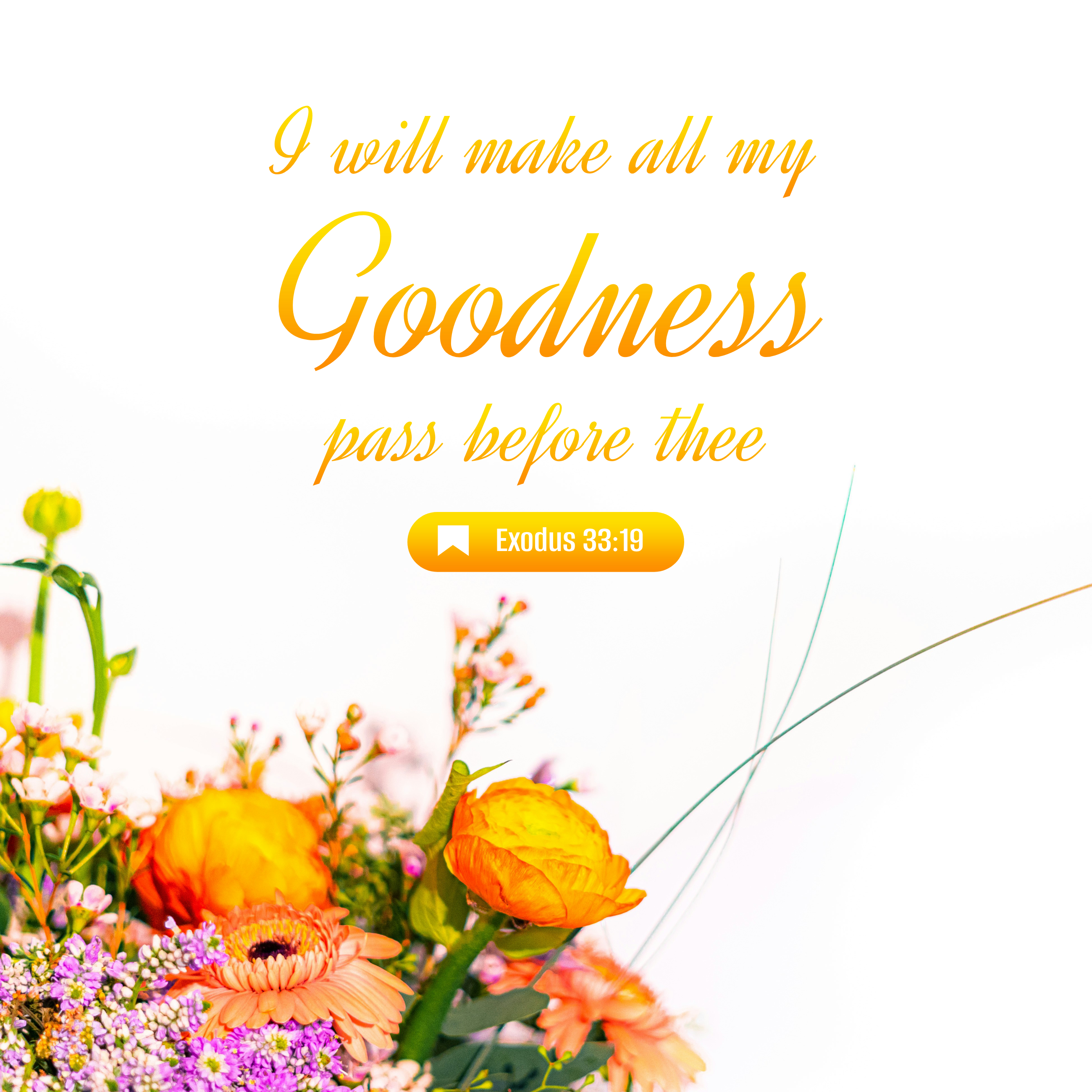 Exodus 33:19