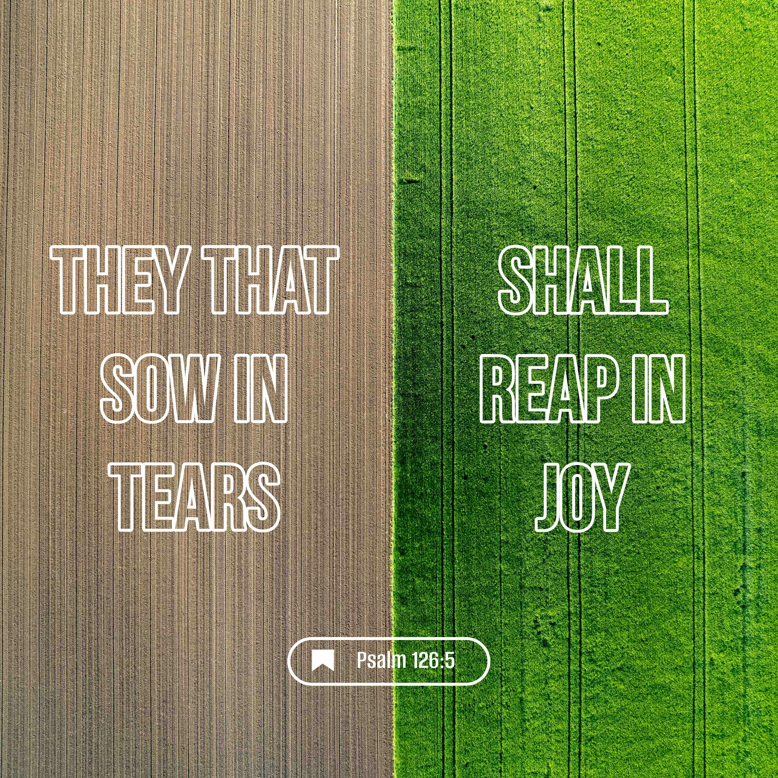 Psalm 126:5