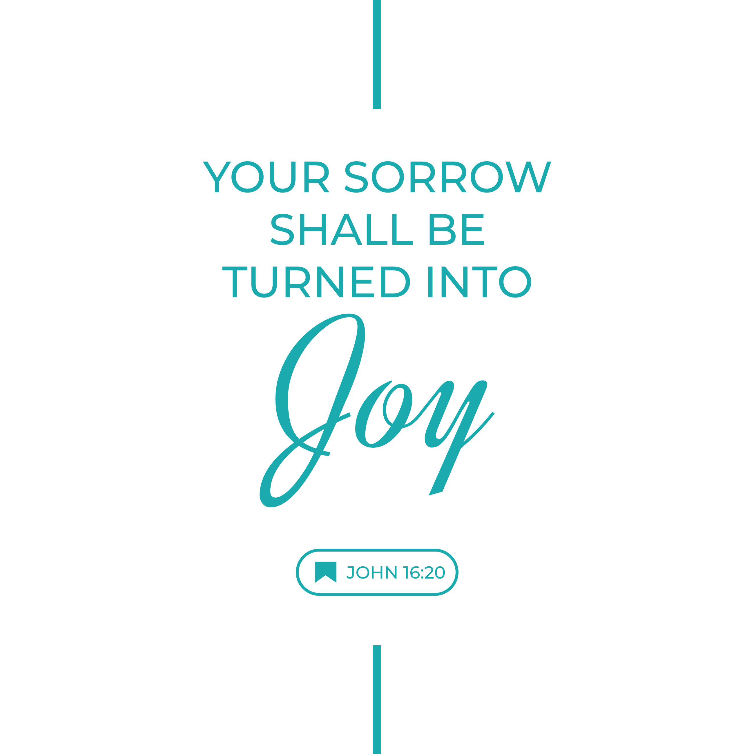 John 16:20