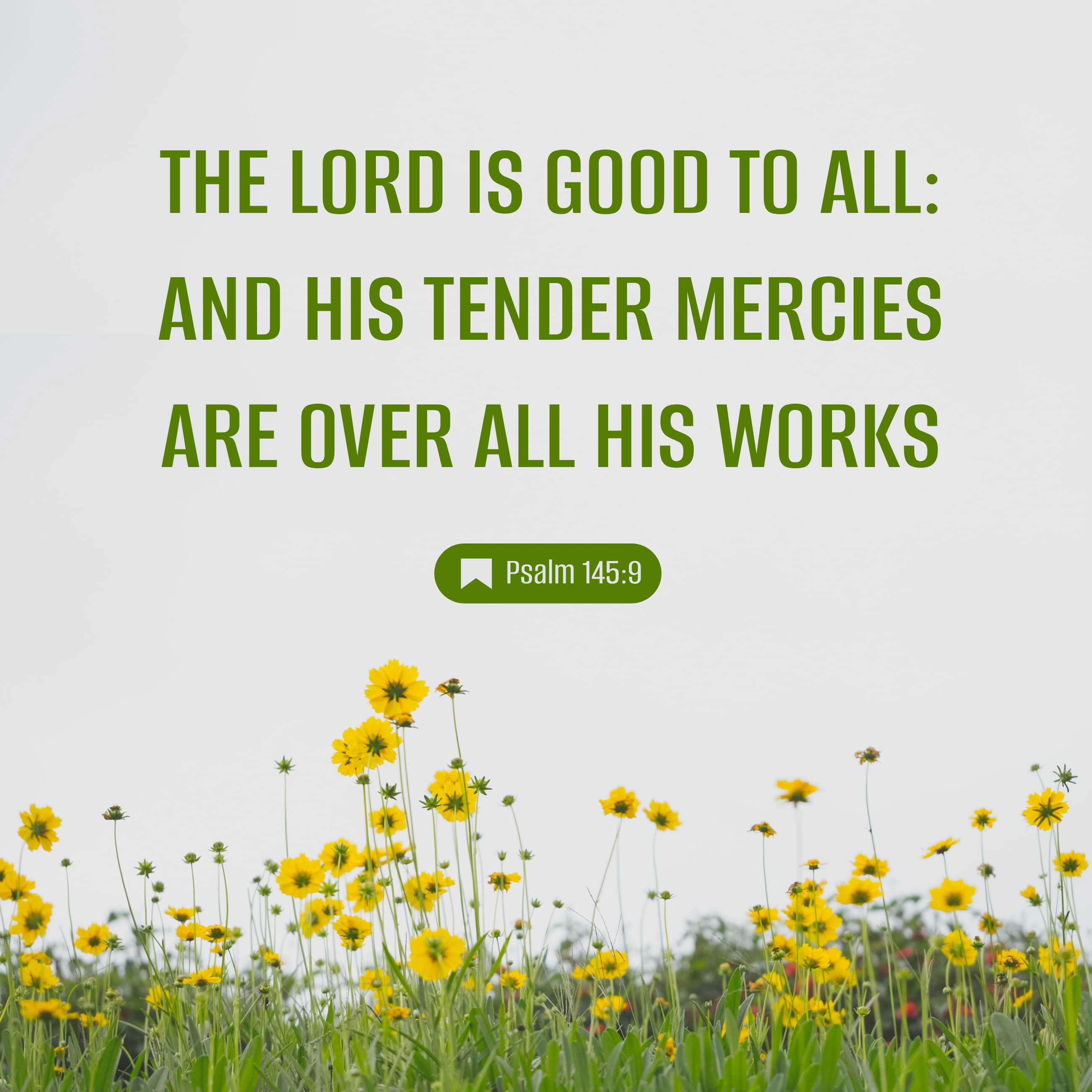 Psalms 145:9