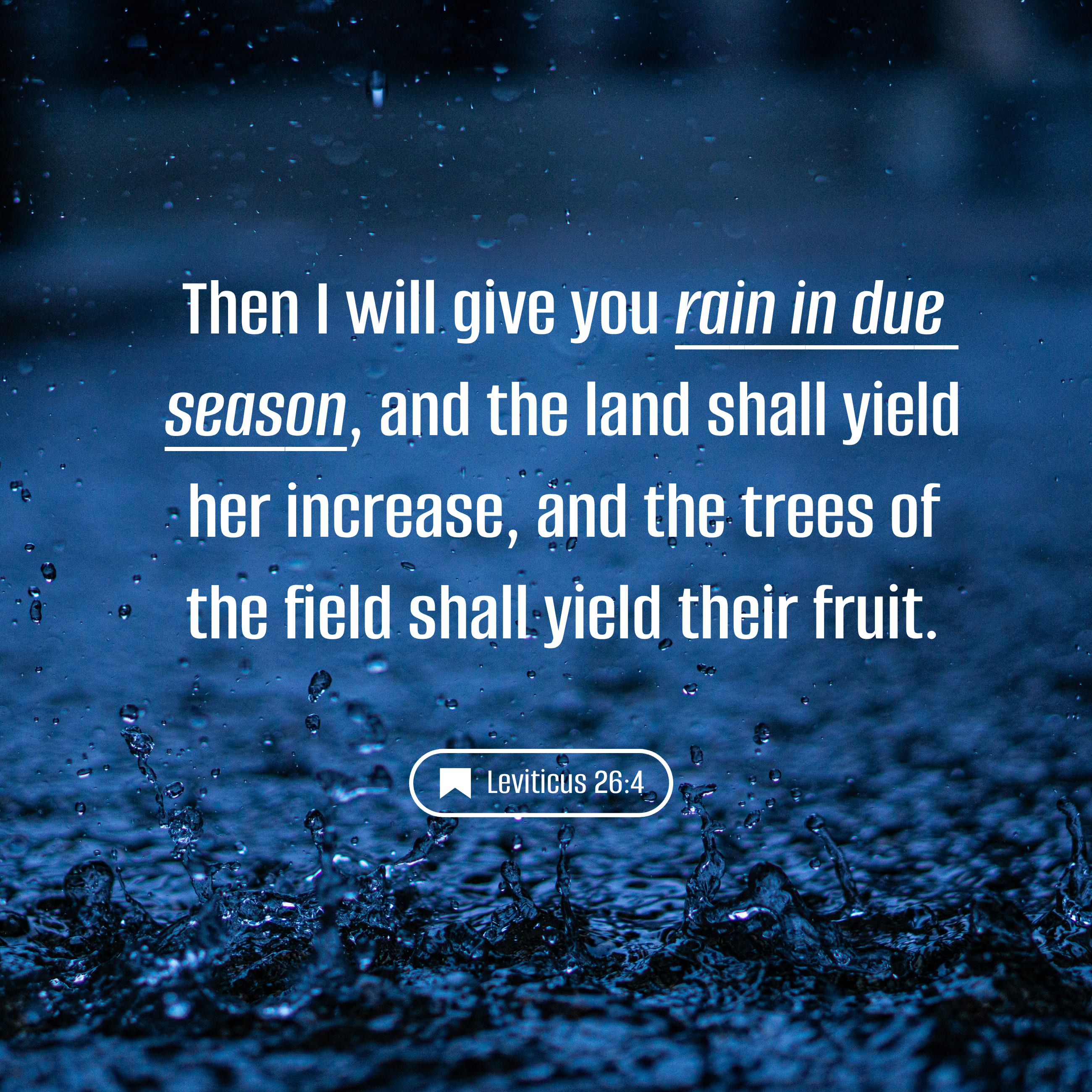 Leviticus 26:4