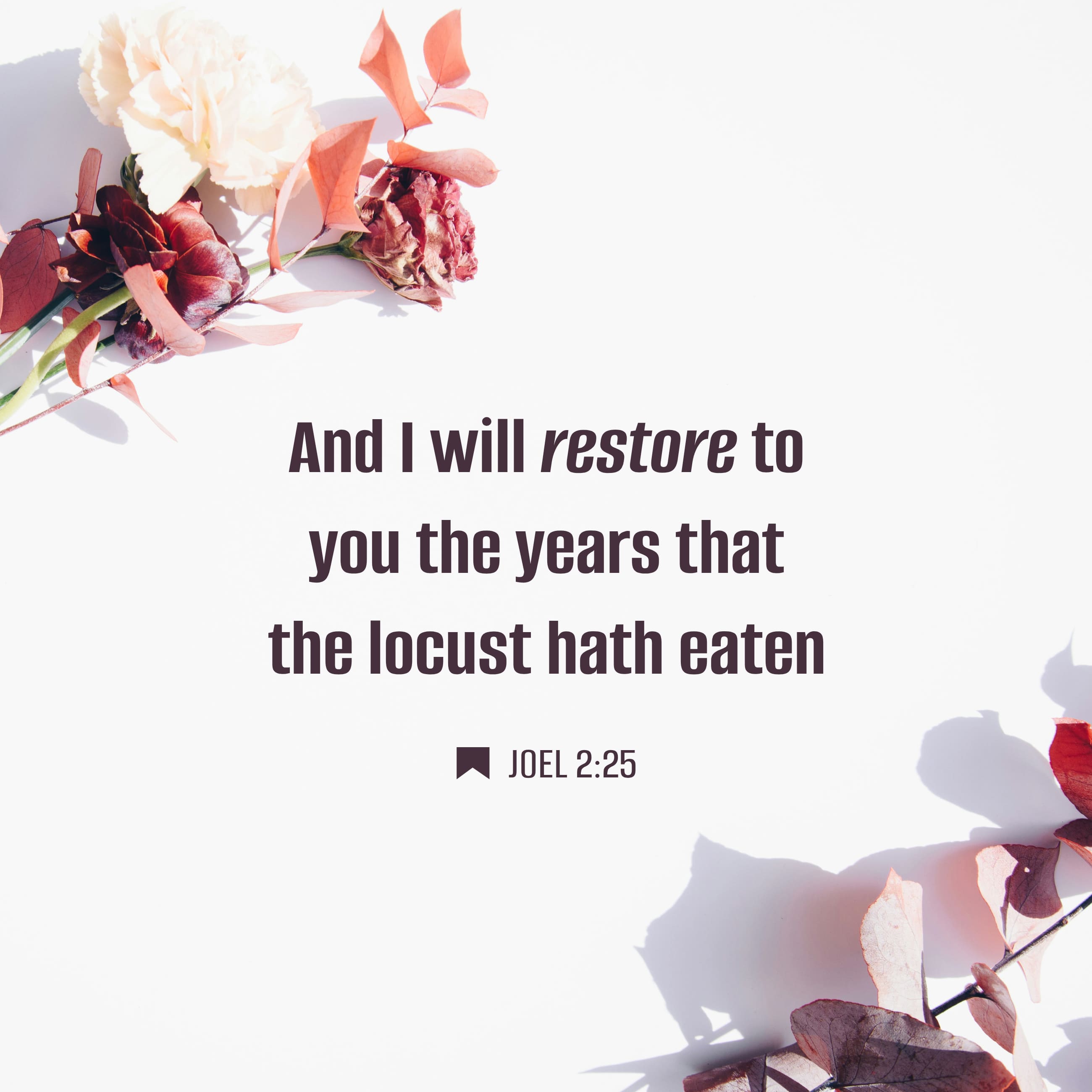 Joel 2:25