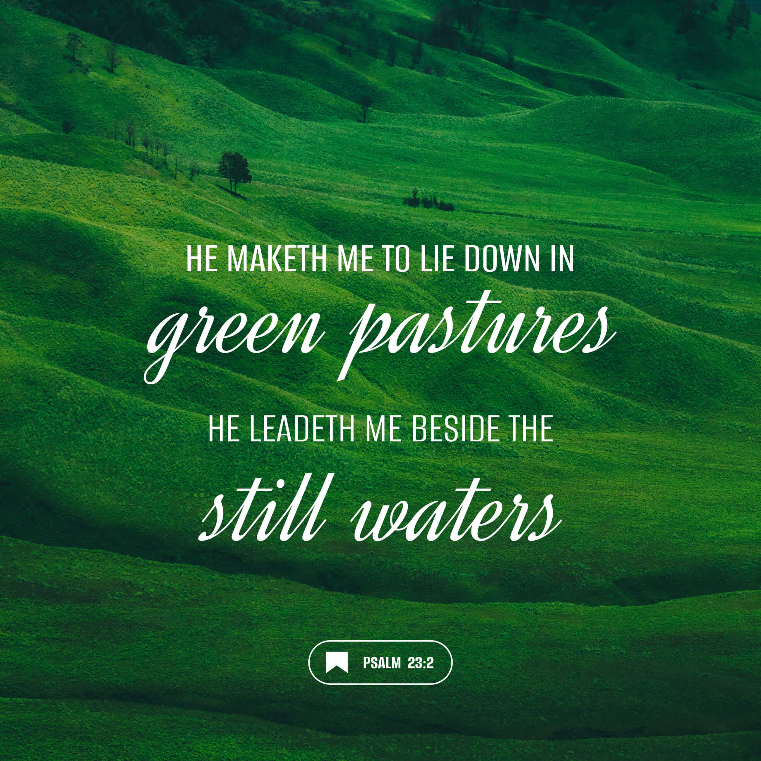 Psalm 23:2