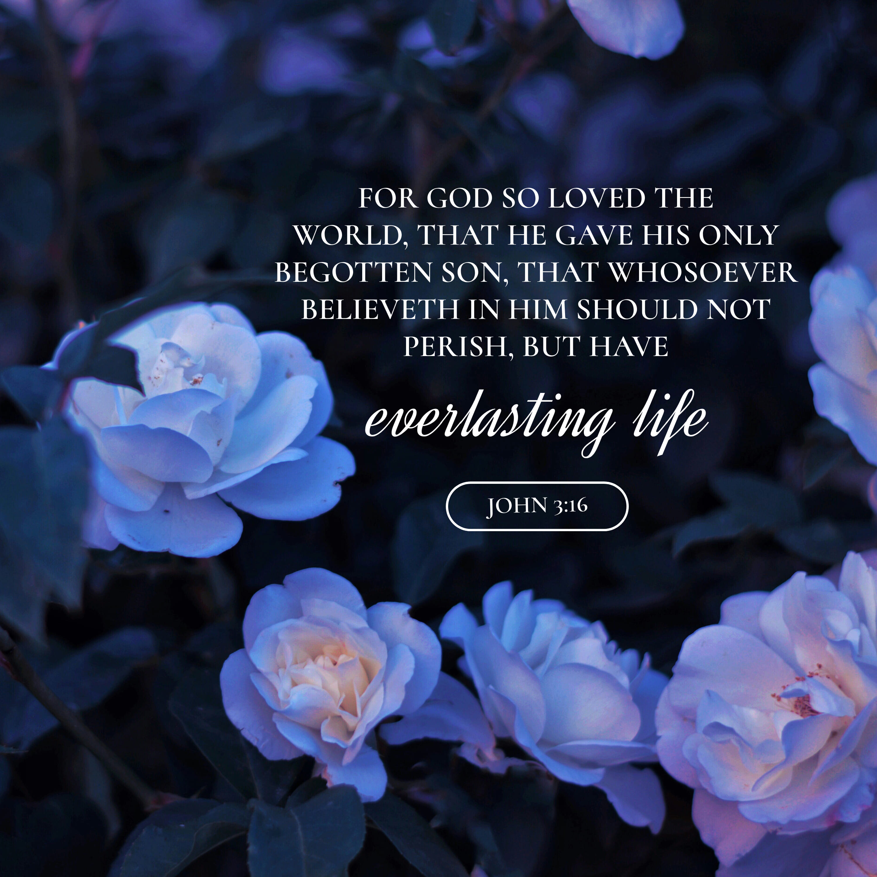 John 3:16