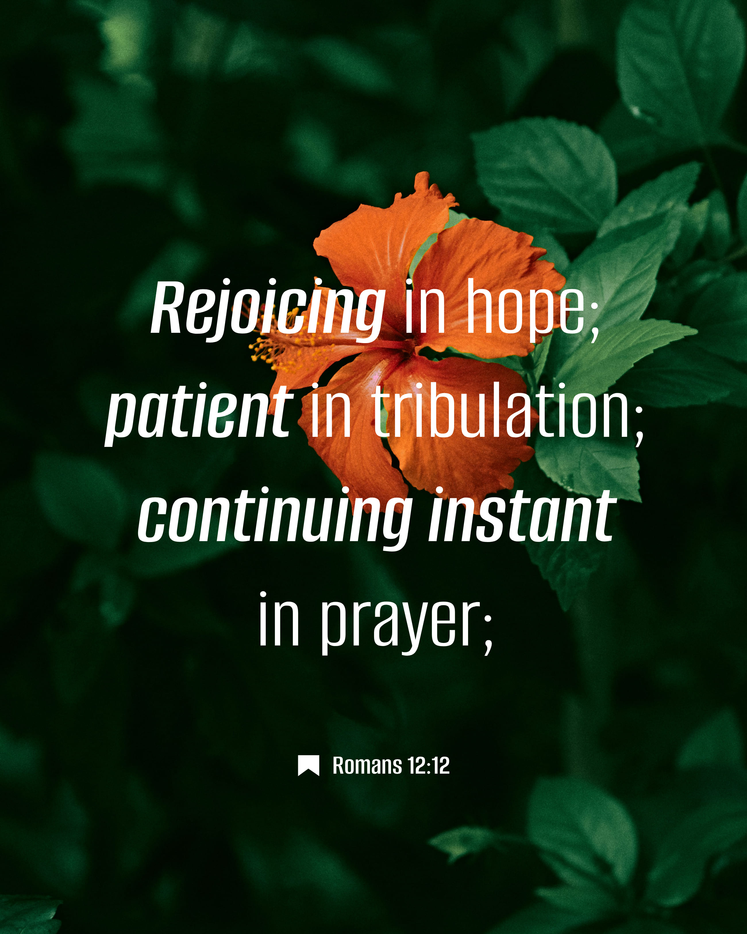 Romans 12:12