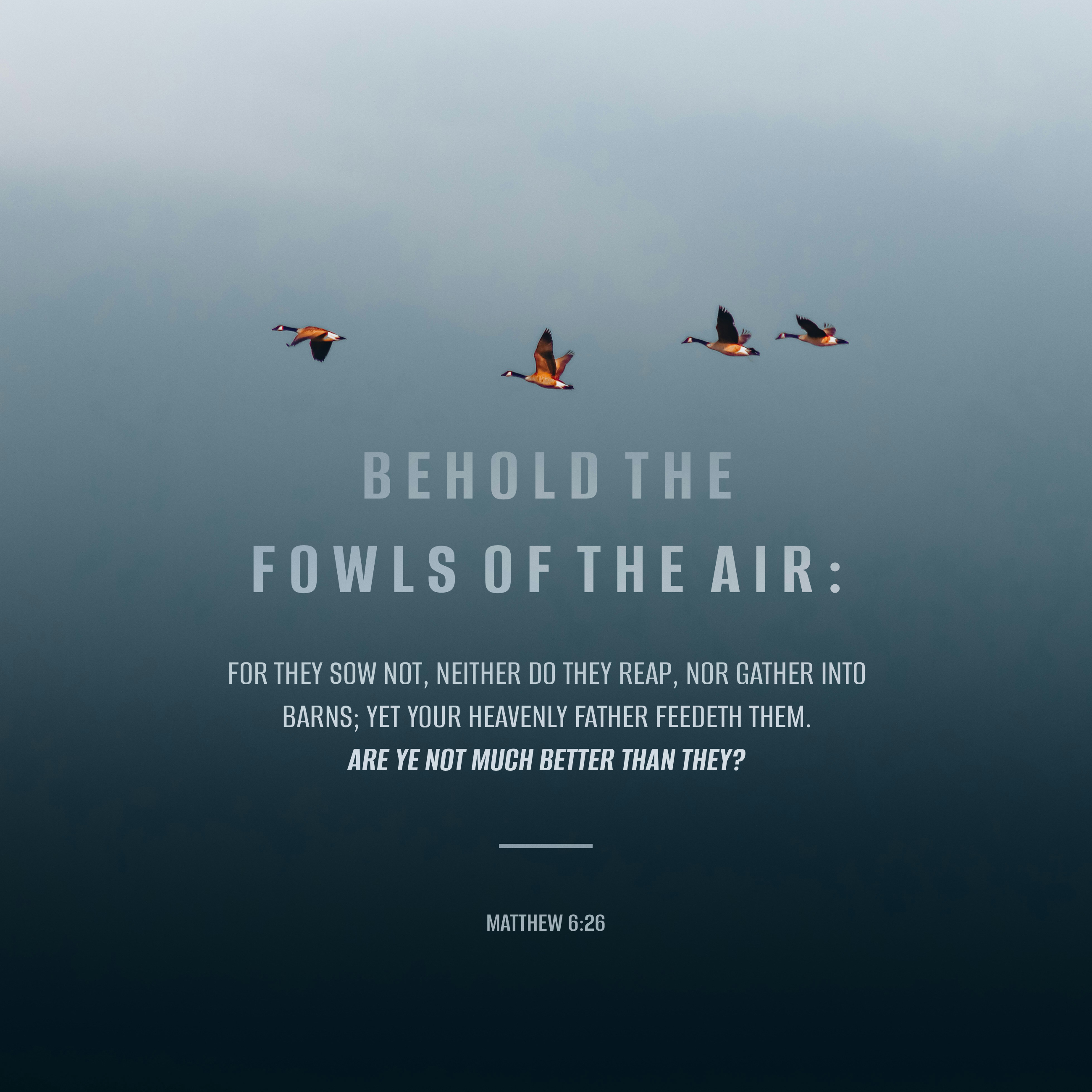 Matthew 6:26