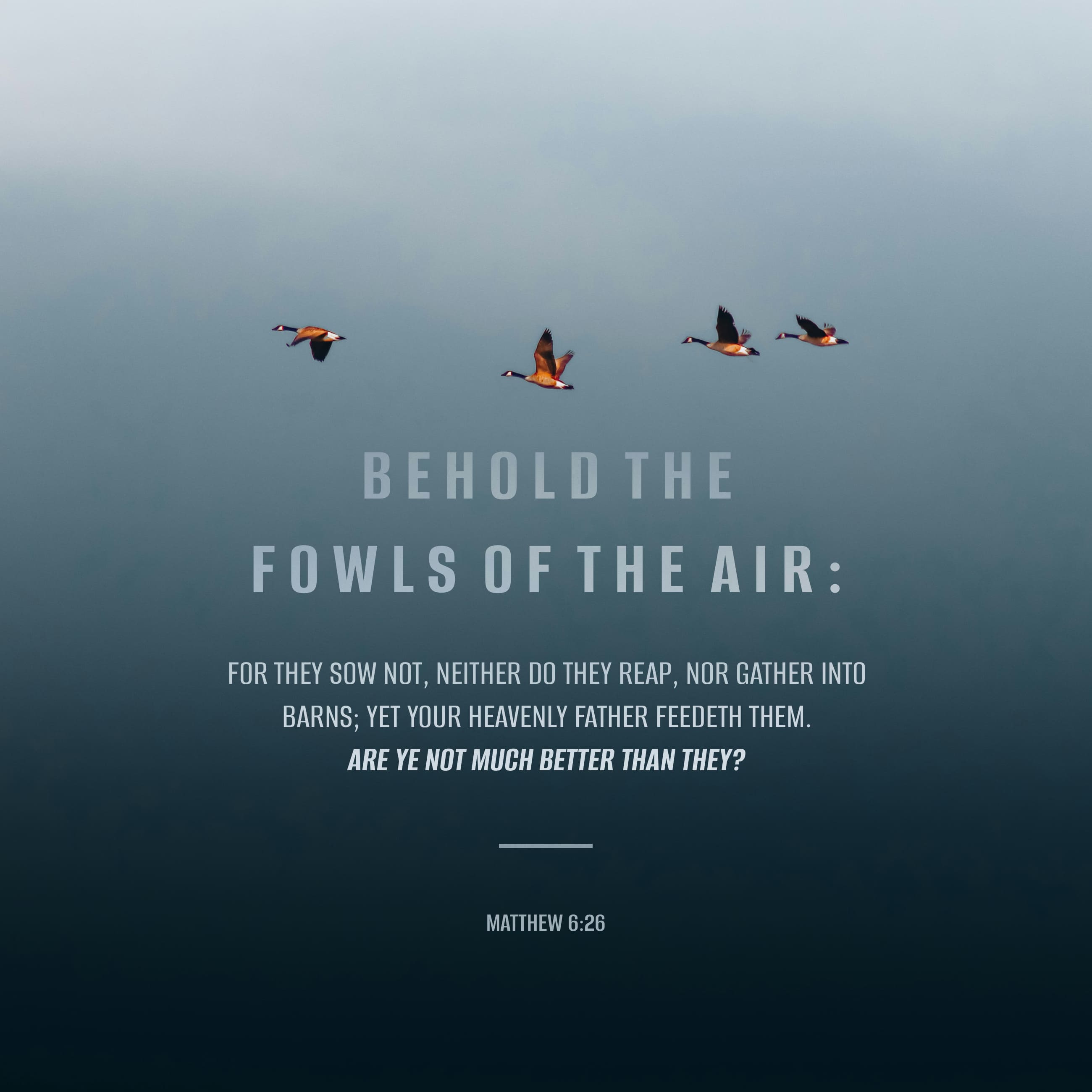 Matthew 6:26