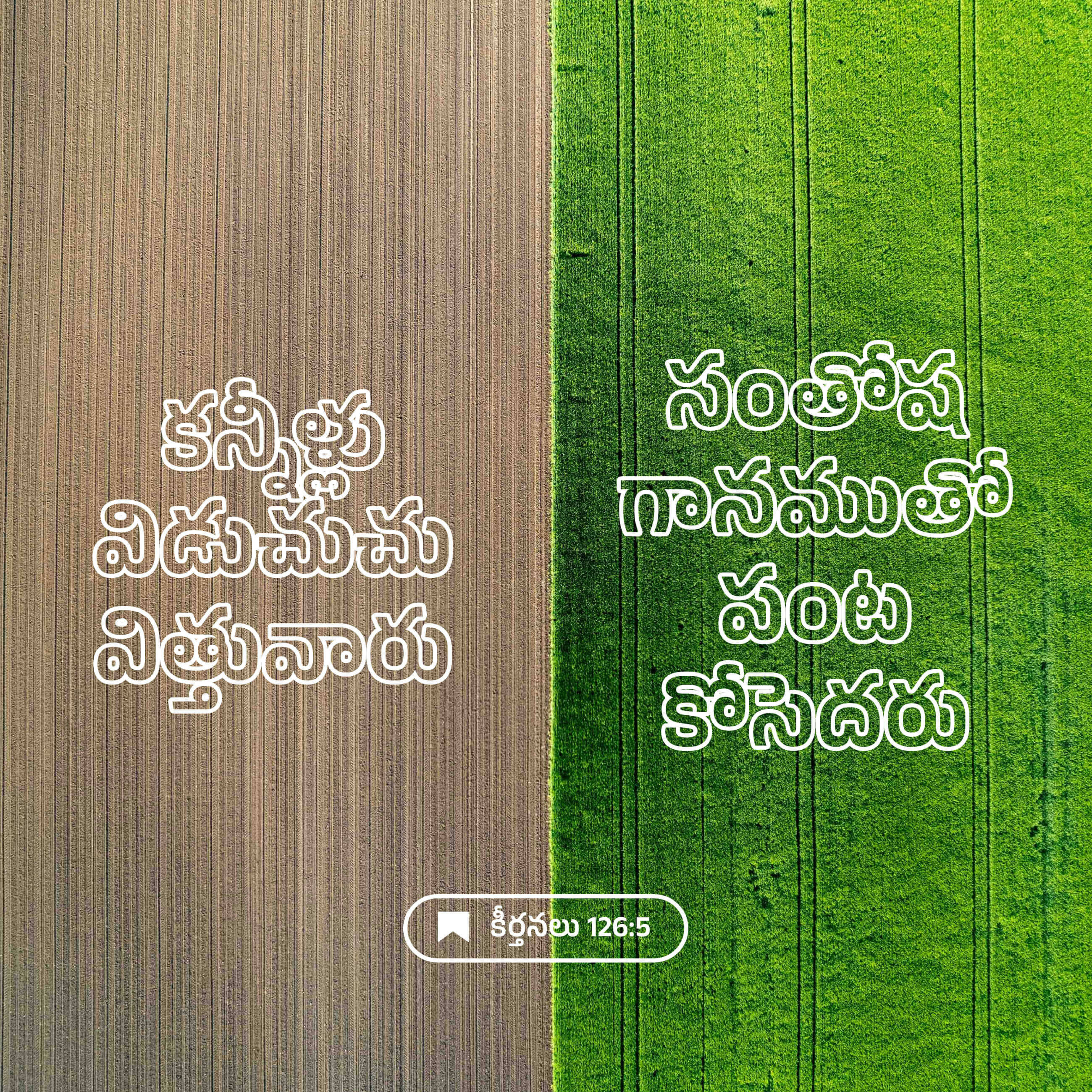 కీర్తనలు 126:5 TELUBSI